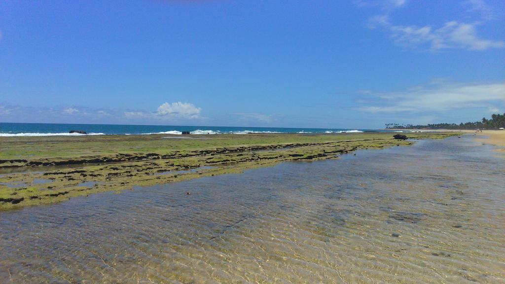 Flat Class Muro Alto * Porto de Galinhas